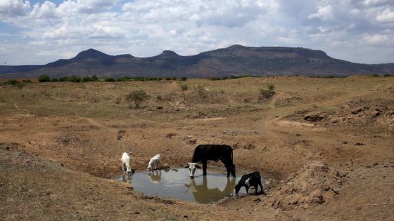 Photo Credit: NewsDay