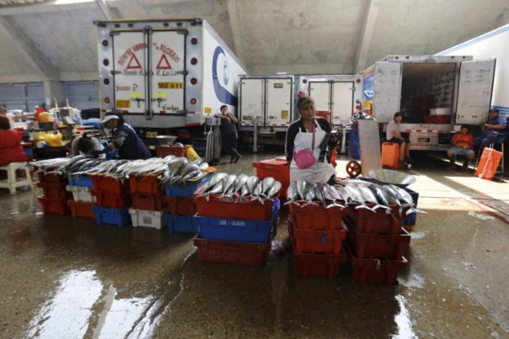 El Nino will not likely hurt anchovy catches in Peruindustry El Niño